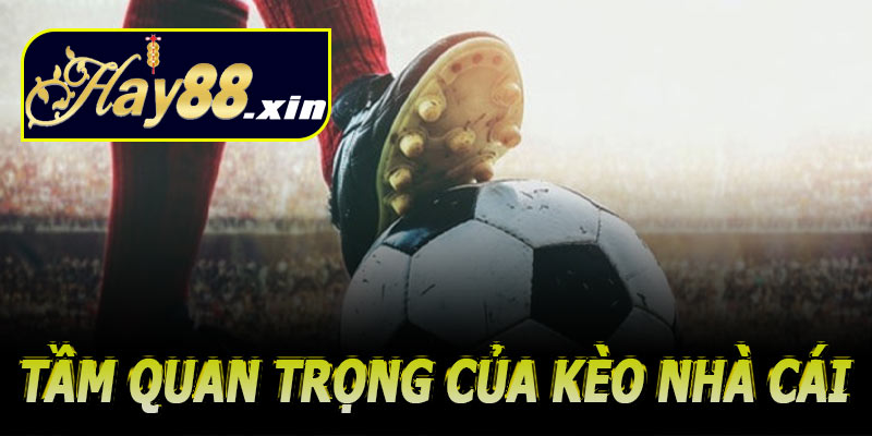 Vì sao kèo nhà cái quan trọng & bạn nên biết cách đọc kèo